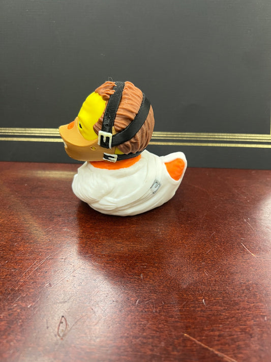 Hannibal duck