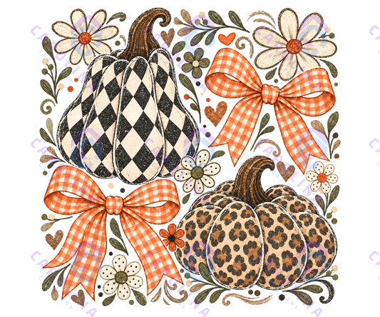 Fall Pumpkins