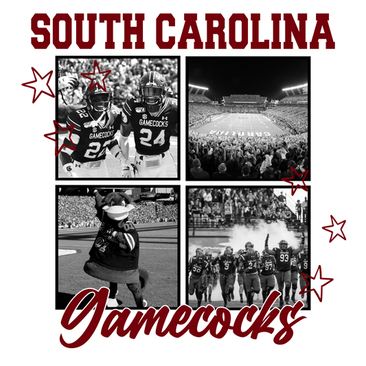 B&W Gamecocks