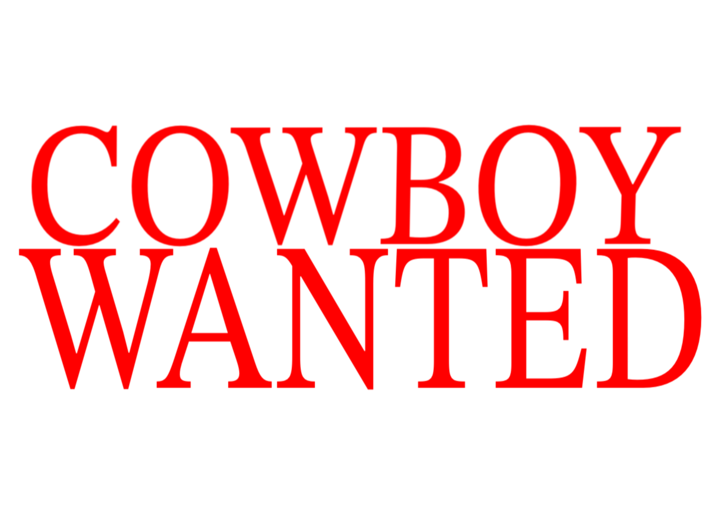 COWBOY WANTED