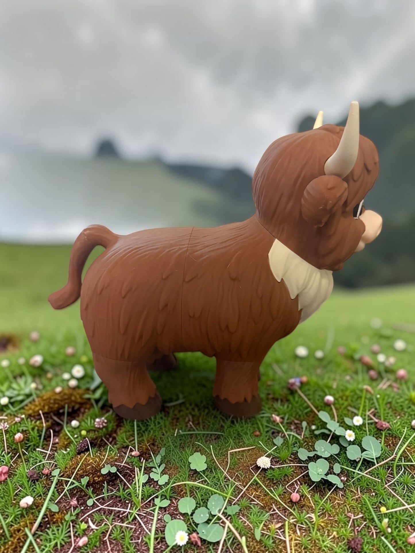 Standing Highland Cow