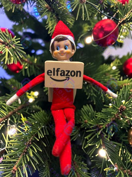 Elf (elfazon) Costume