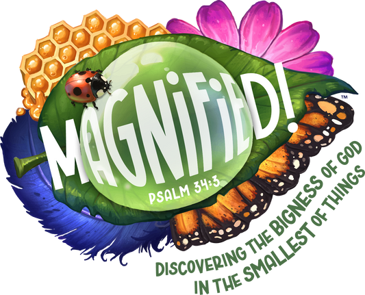 Magnified