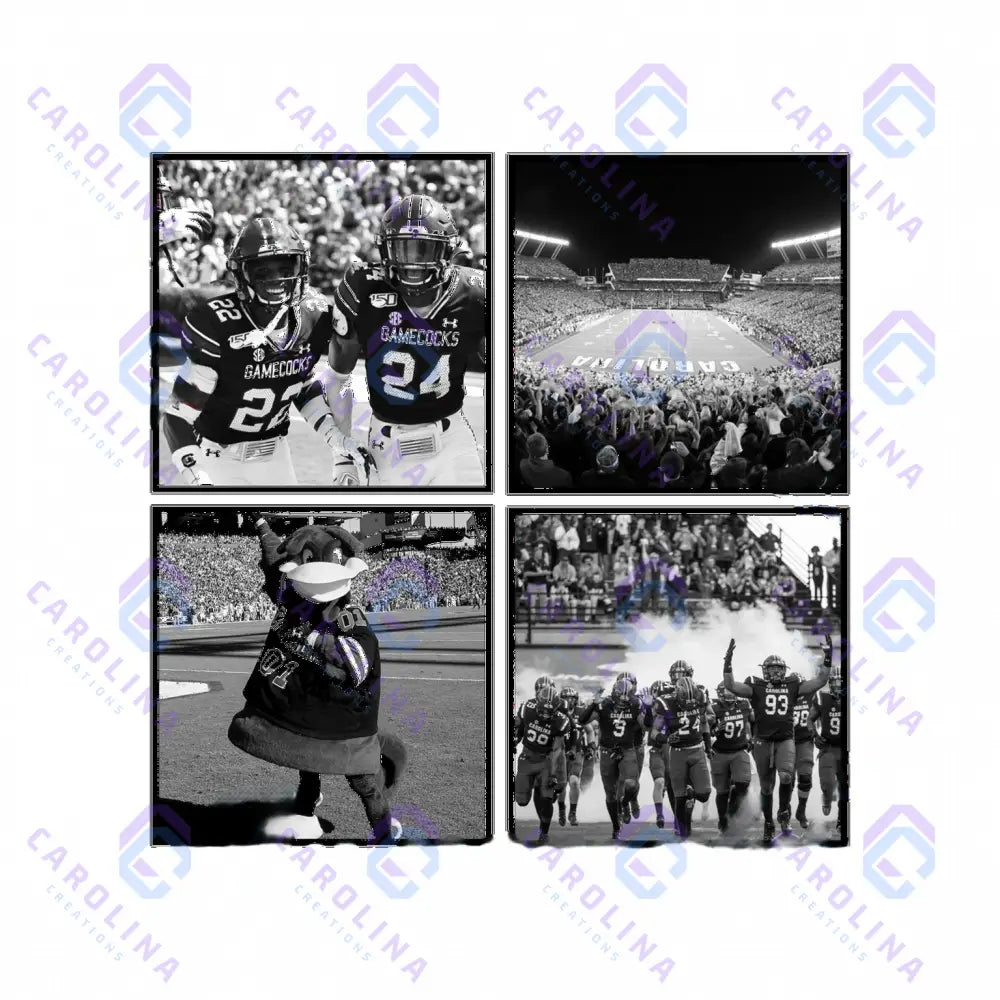 B&W Gamecocks