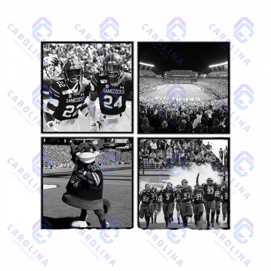 B&W Gamecocks