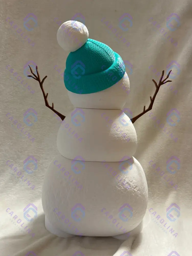Frosty The Snow Man