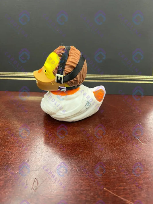 Hannibal duck