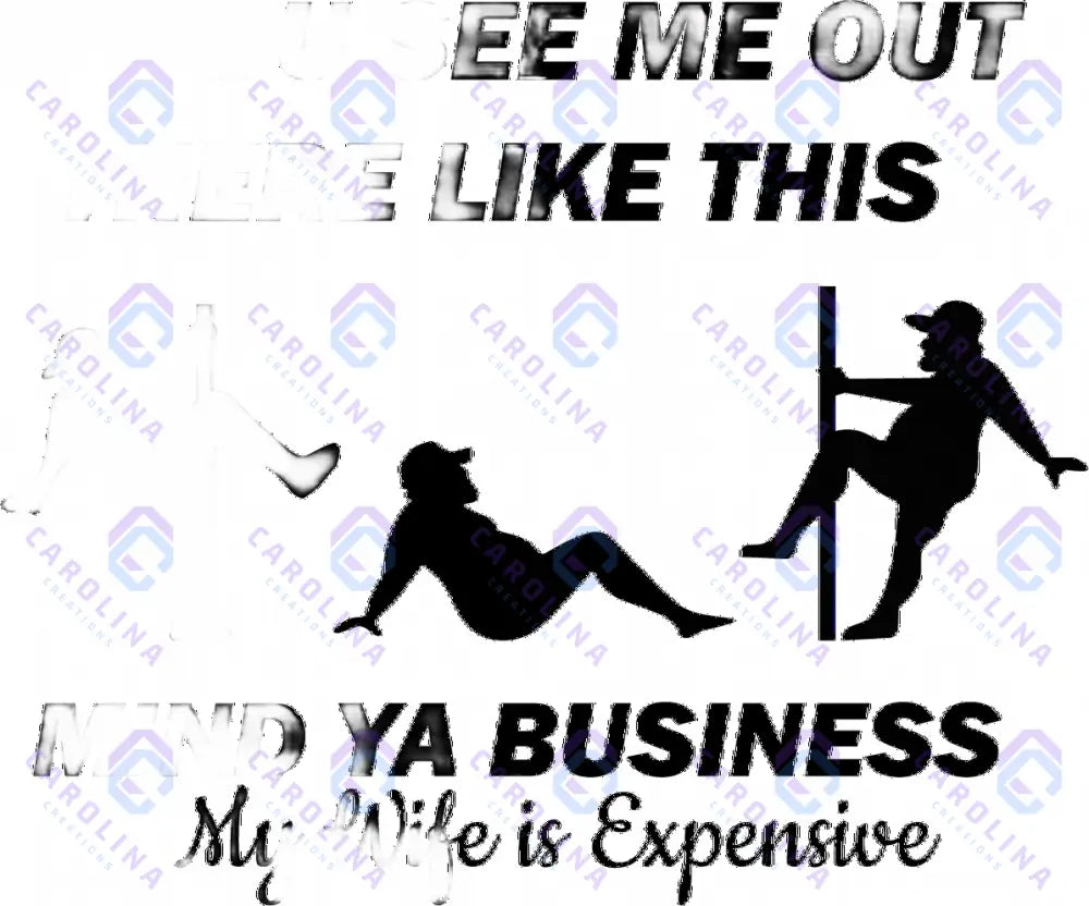 My Wife is Expensive