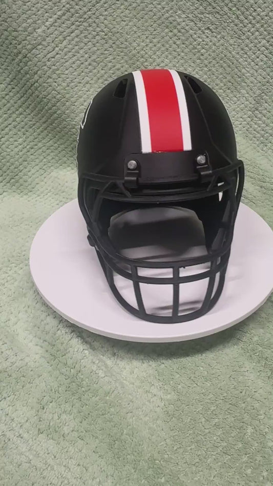 Gamecocks mini football Helmet