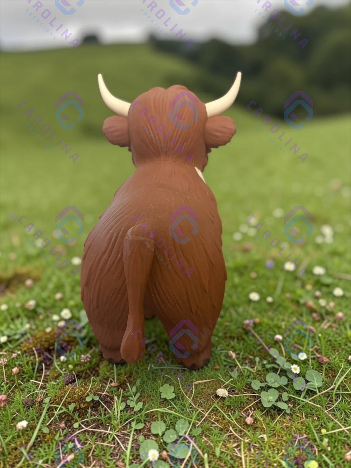 Standing Highland Cow